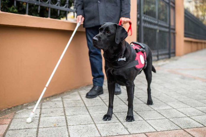 PAWS Act Signed, Expanding Veteran Access to Service Dogs