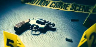 CDC Returns to Gun Violence Research