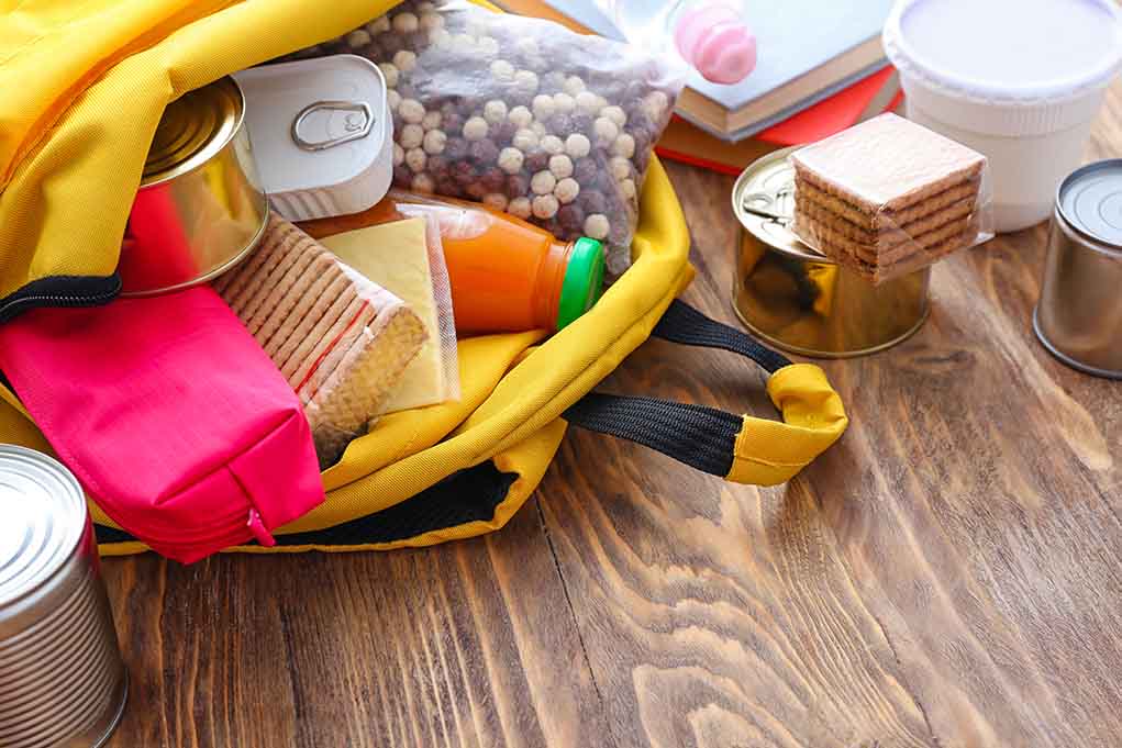 How to Get FREE Groceries with the BackPack Program Daily Dig
