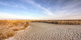 Low Water Levels at California's Reservoirs