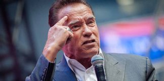 Arnold Schwarzenegger Wants to Work With Yellowstone Show's Creator