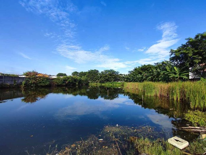 Alligator Bites Man's Arm Off After He Peed In Its Pond