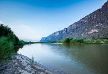 WARNING: Deadly Parasite Found in Colorado River