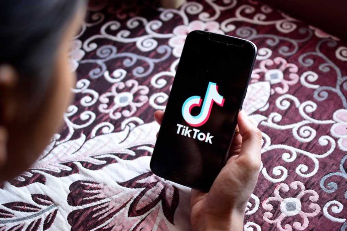TikTok Sale Sends Waves Through Wall Street