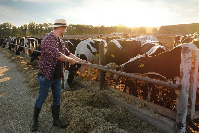 Colorado to Start Testing Milk for Bird Flu