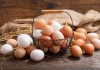 Egg Recall Alert: Salmonella Concerns in Three Midwestern States