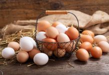 Egg Recall Alert: Salmonella Concerns in Three Midwestern States