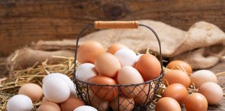 Egg Recall Alert: Salmonella Concerns in Three Midwestern States